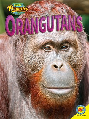 cover image of Orangutans